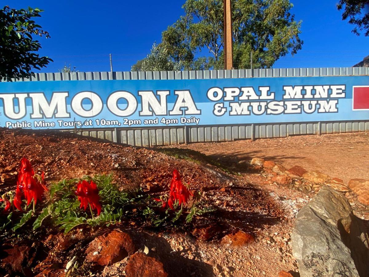 Ali'S Underground Studio Coober Pedy Luaran gambar