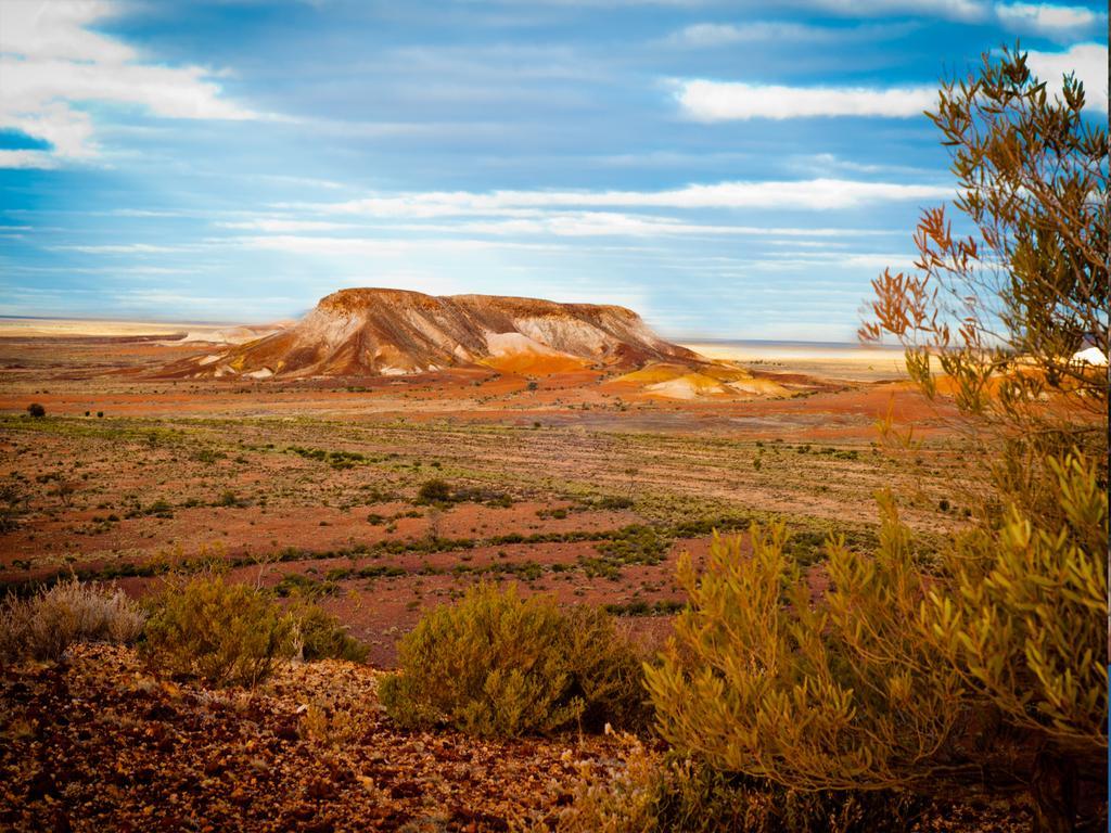 Ali'S Underground Studio Coober Pedy Luaran gambar